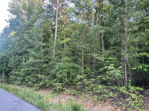 South Pittsburg Land For Sale