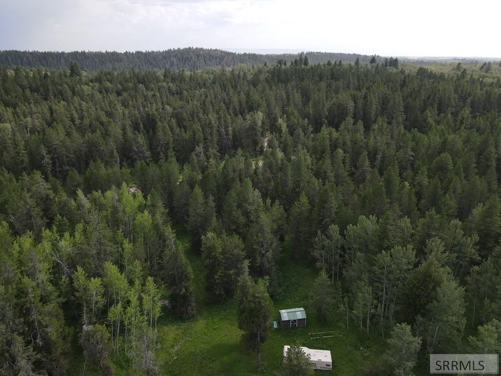 Picture 14