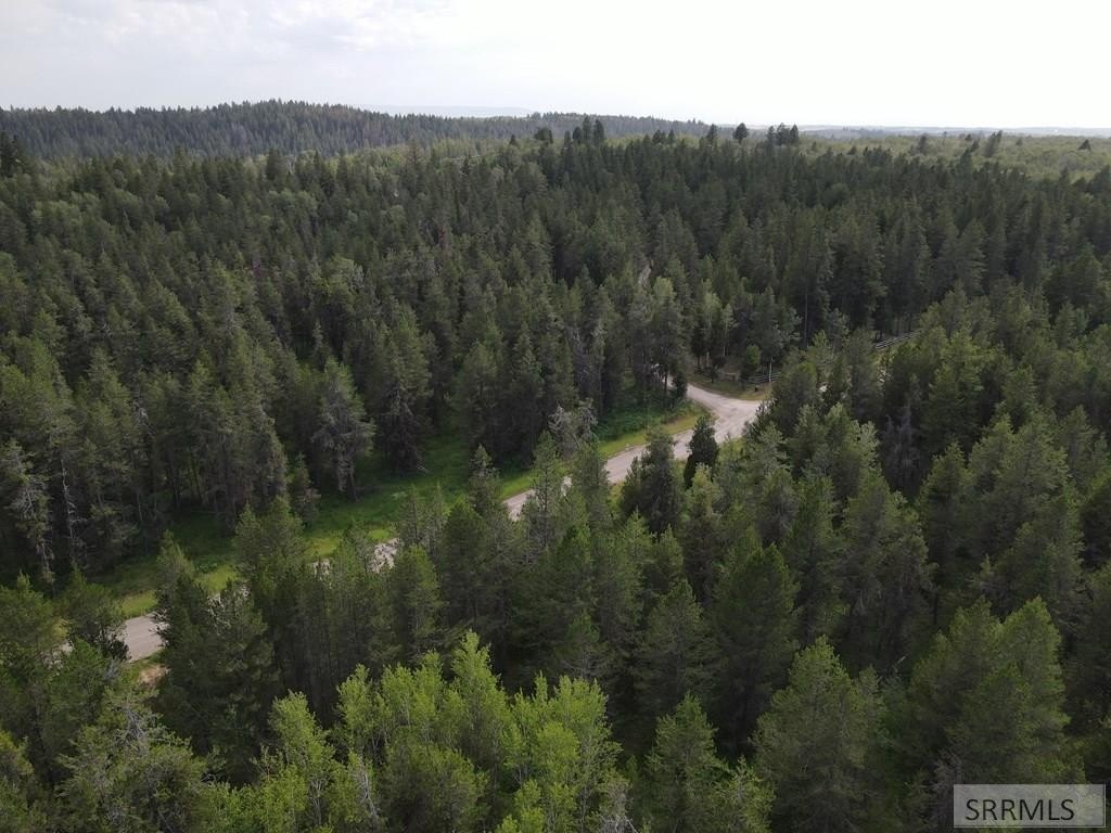 Picture 15