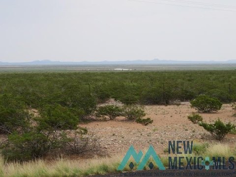 Land Near Mexico Border