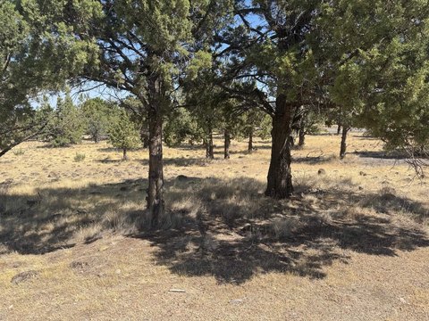 LAND - Weed, CA