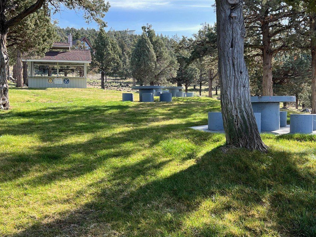 Picture 30
