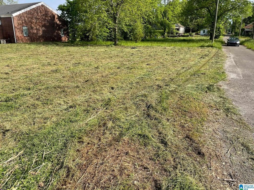 Picture 4