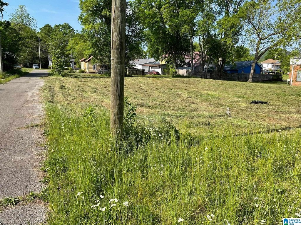 Picture 2
