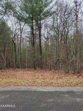 Crossville, TN Wooded Lot