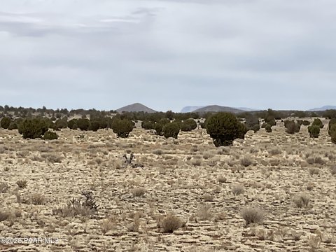 Land, Seligman, AZ