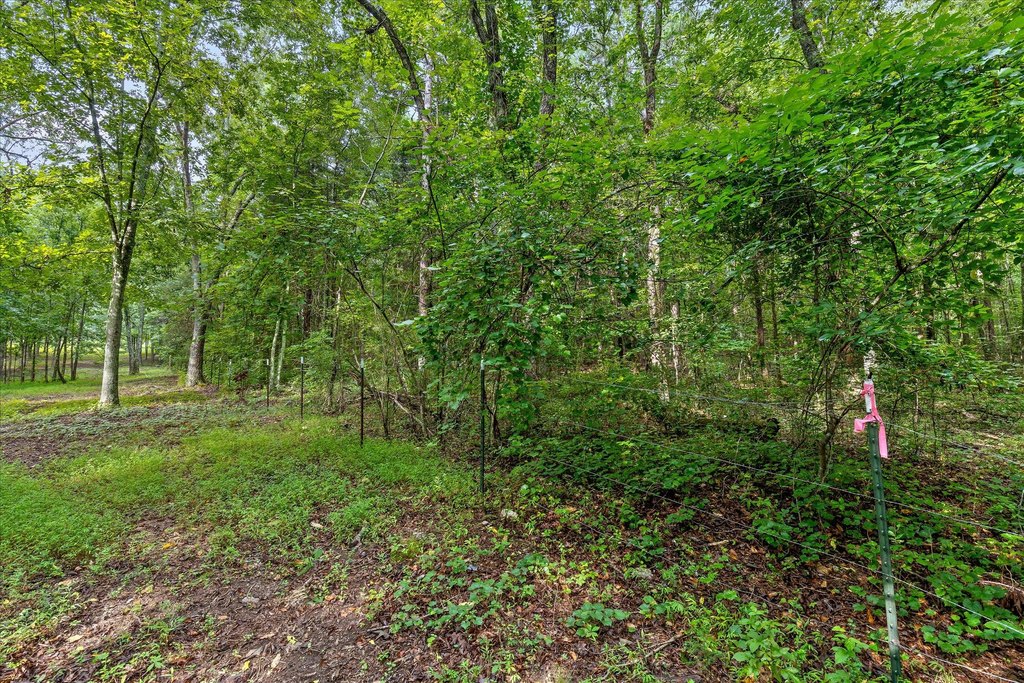 Picture 20