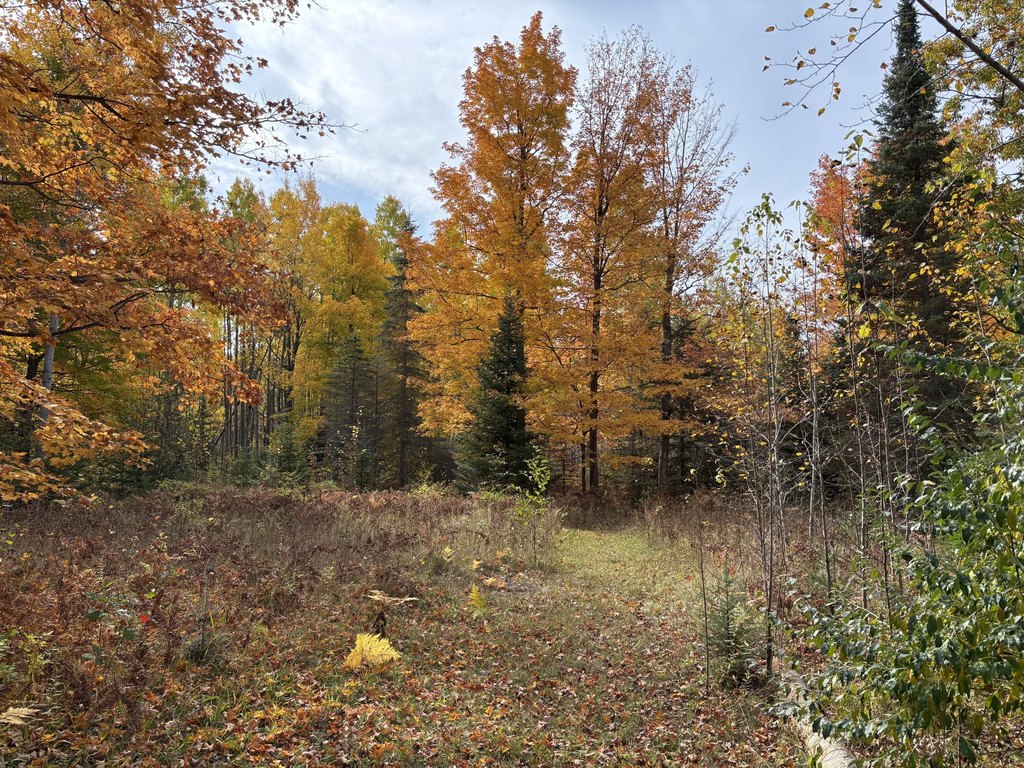 Picture 49