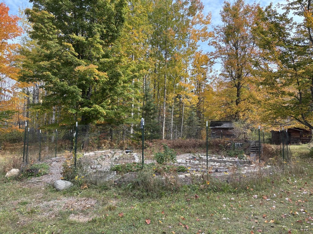 Picture 26