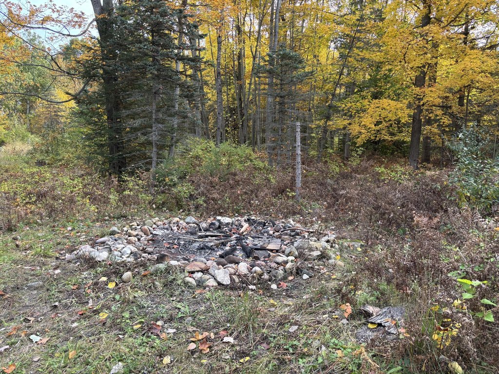 Picture 51