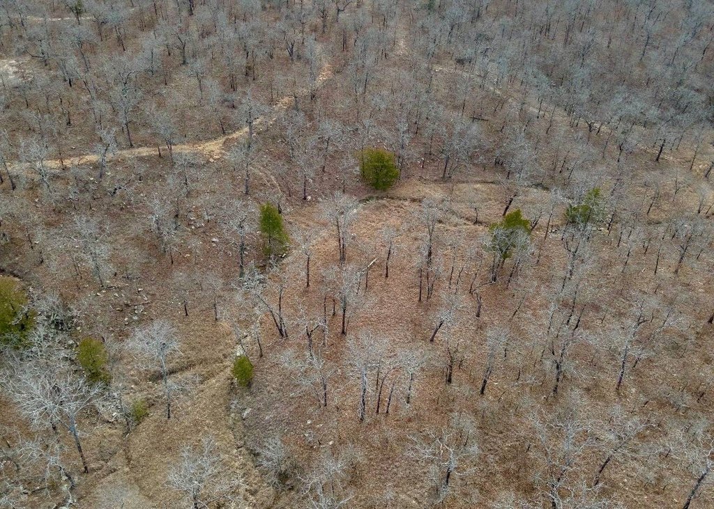 Picture 3