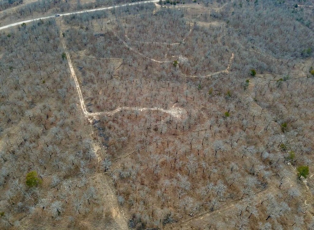 Picture 4