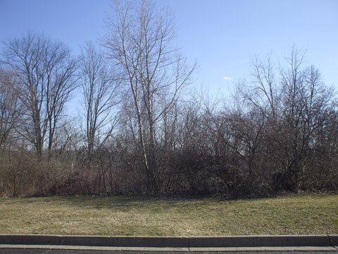 Residential Land in Kalamazoo, MI