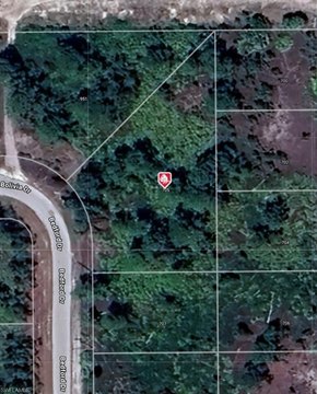 Land, LEHIGH ACRES, FL