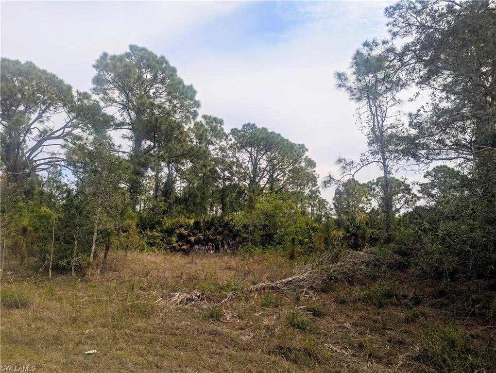 Picture 6