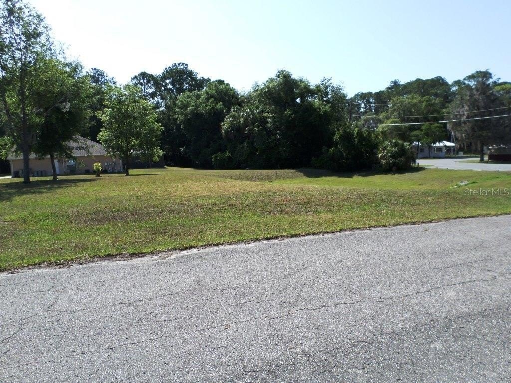 Picture 5
