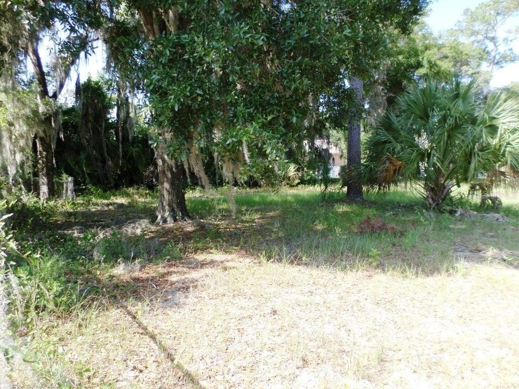 Picture 2