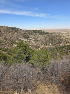40 Acres of Land - CO