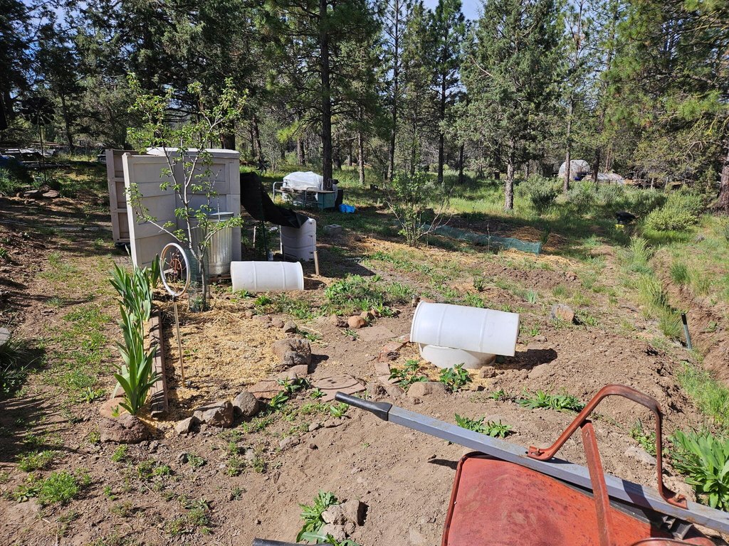 Picture 19