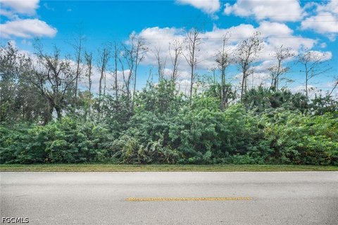 LAND - Naples, FL