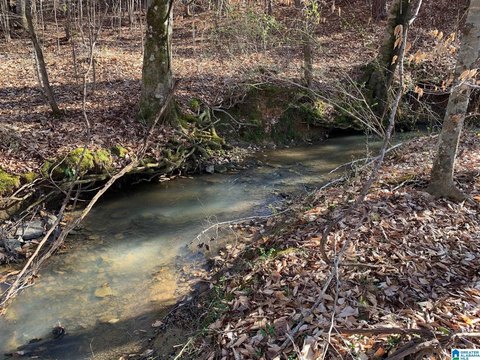 LAND/LOTS, WEST BLOCTON, AL