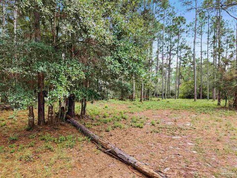Land, Pensacola, FL