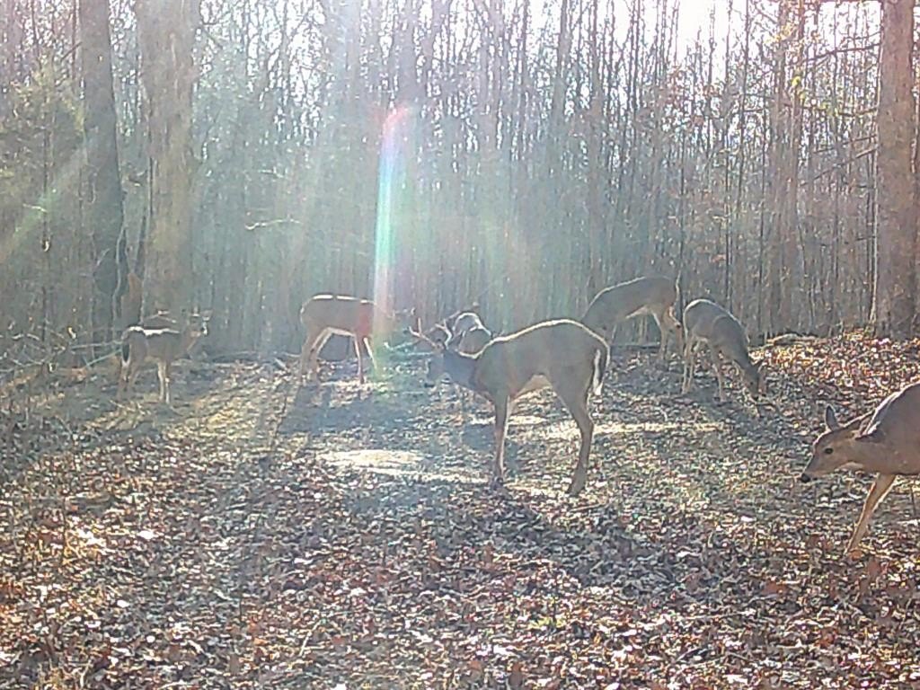 Picture 15
