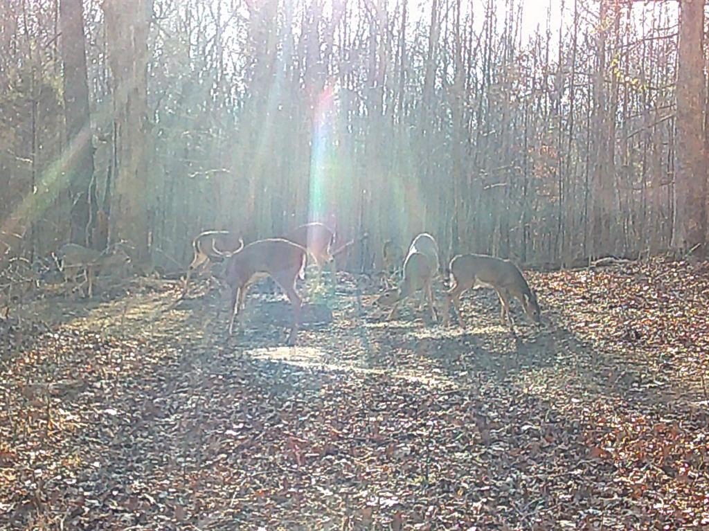 Picture 16