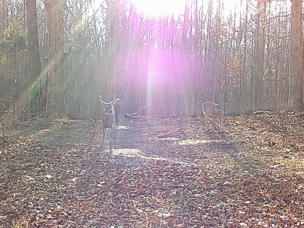 Picture 18