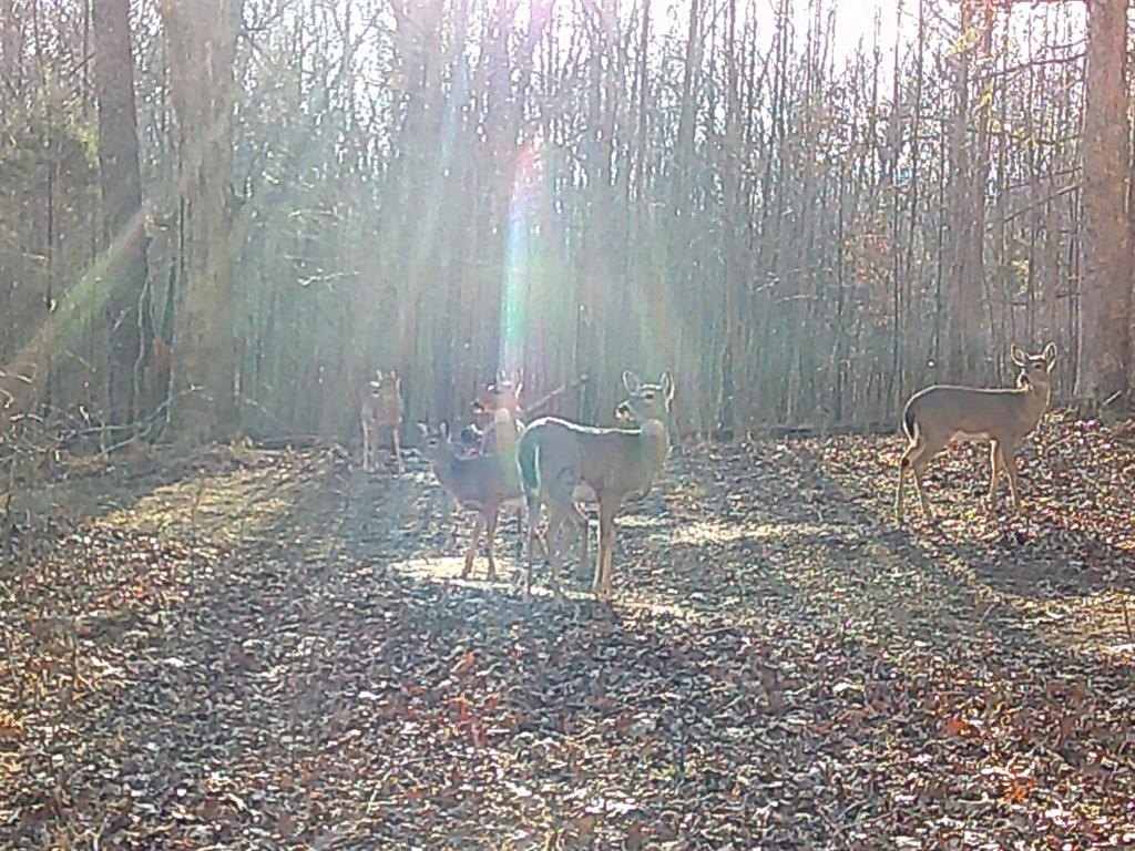 Picture 17
