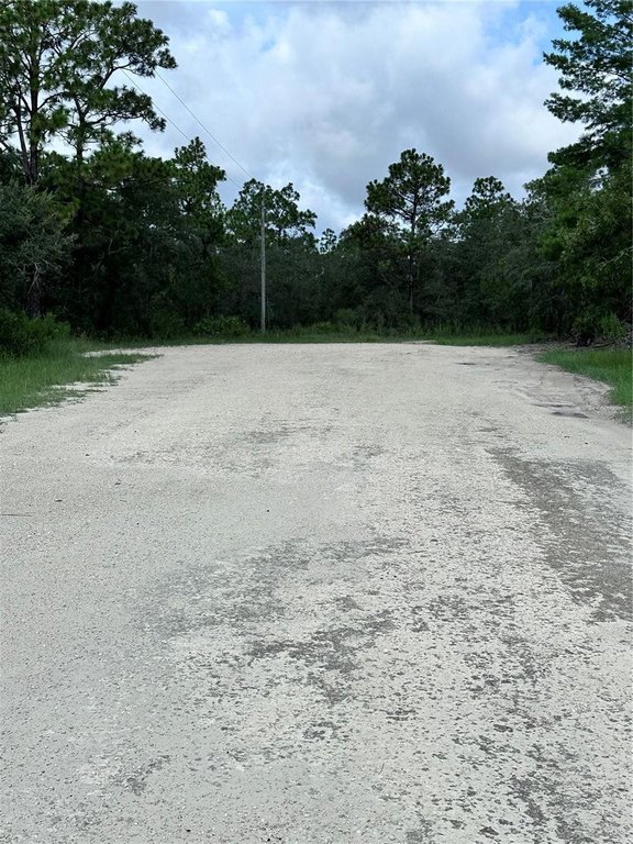 Picture 6