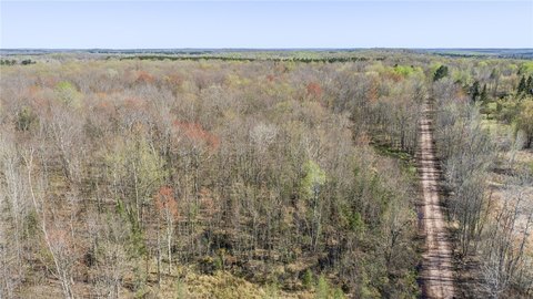 Hayward, WI Wooded Land Parcel