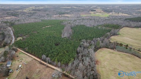 80.5 Acres in Dawson, AL