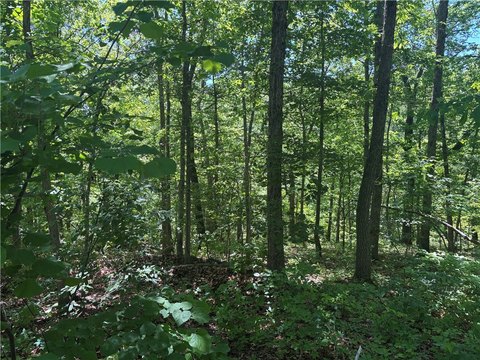 LAND - Bella Vista, AR