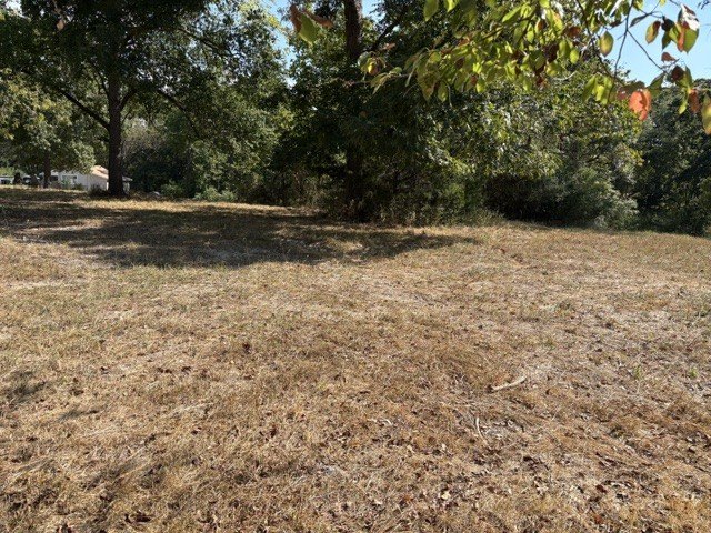 Picture 28
