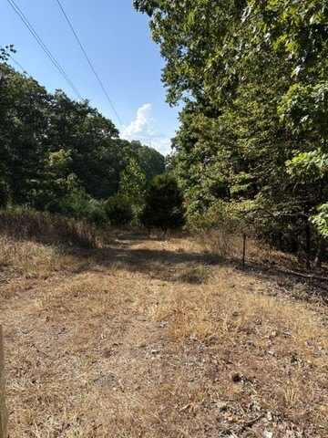 Picture 18