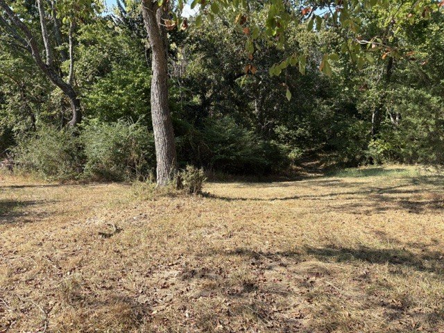 Picture 25