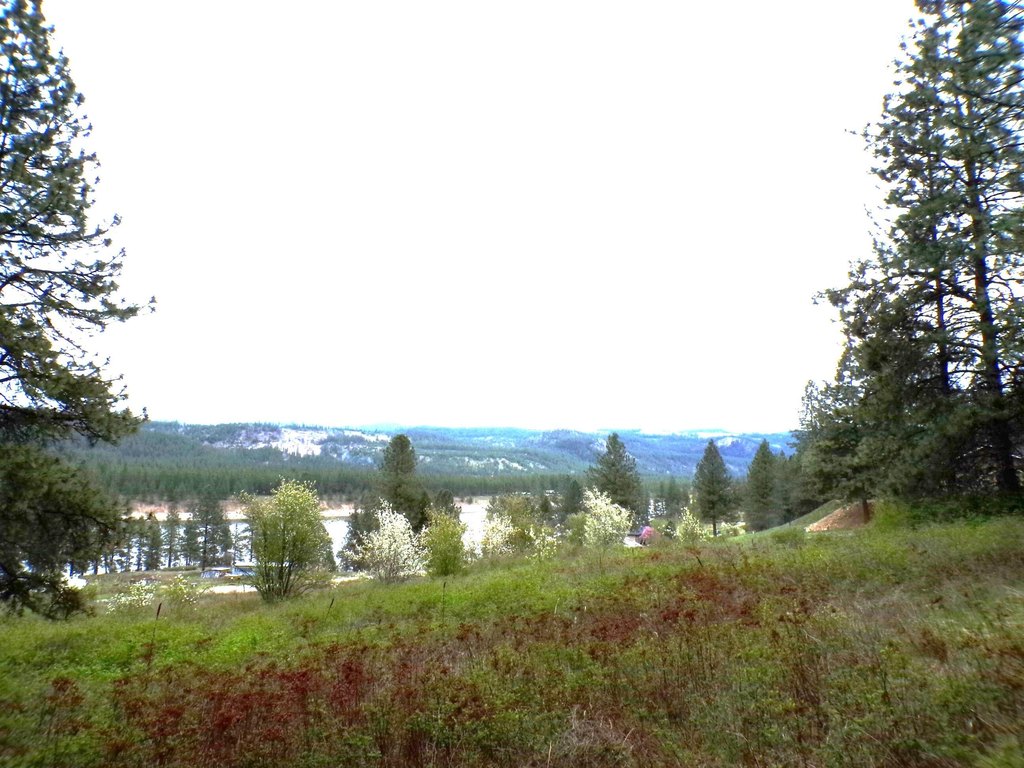 Picture 9