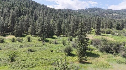 Kettle Falls Land with Lake Views