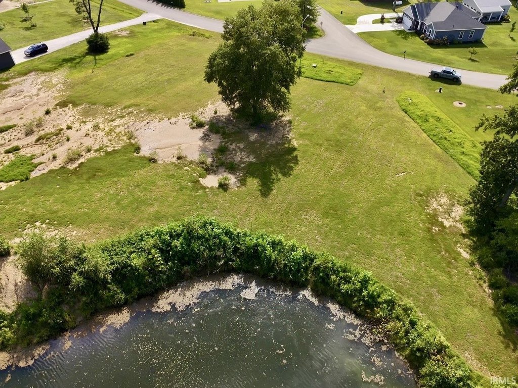Picture 6
