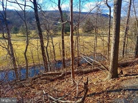 Wooded Lot Near Ski Resort