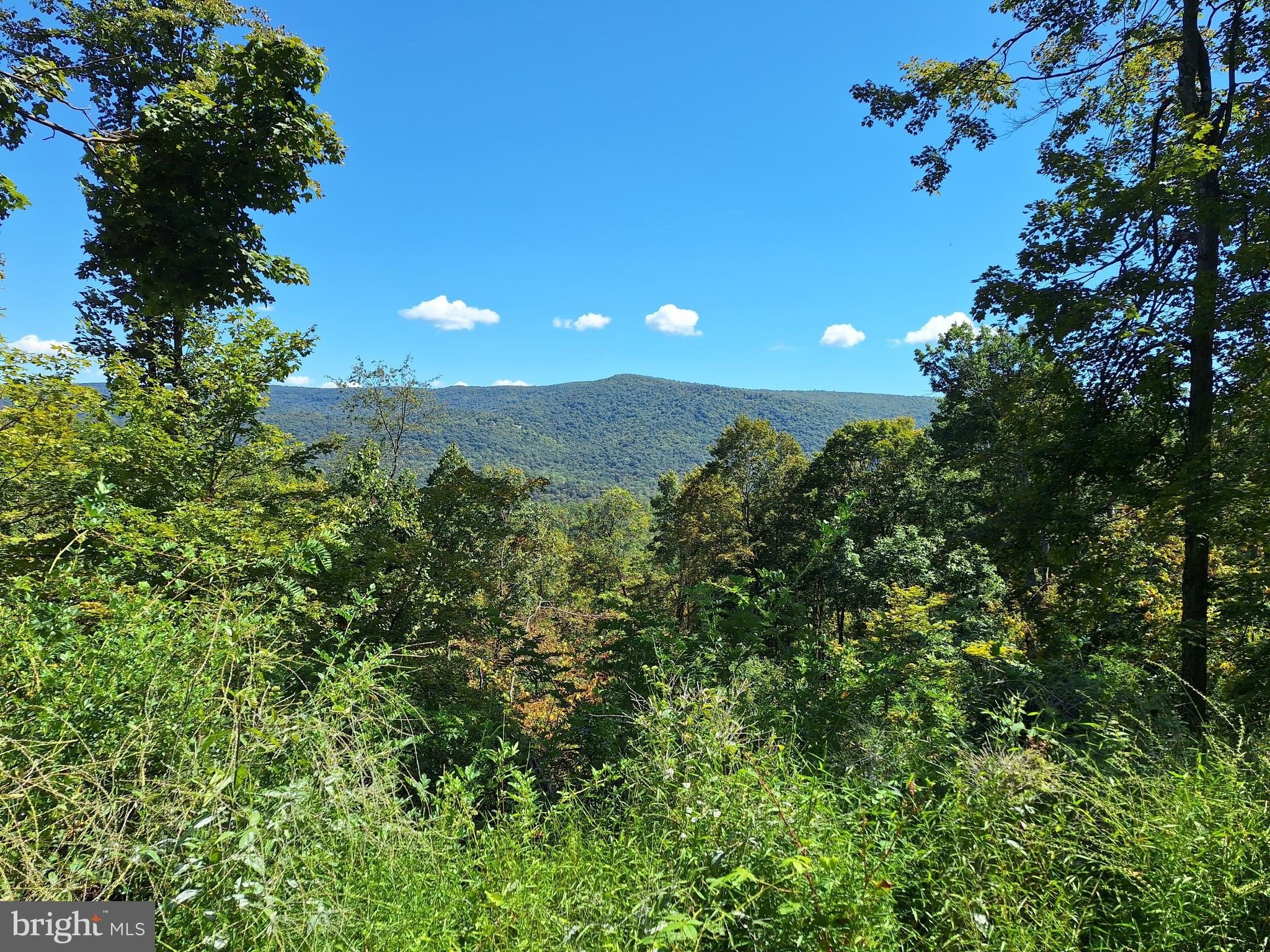 211 Acres Hunting Land, Hyndman
