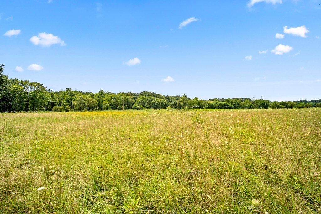 Picture 30