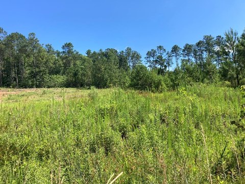Sumter, SC Land For Sale