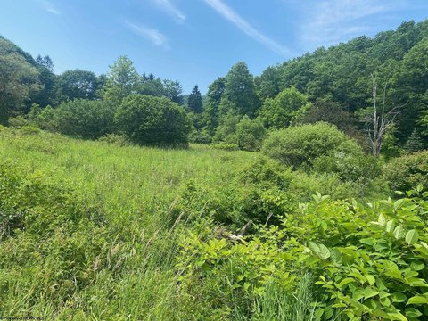 Land in Montrose, WV