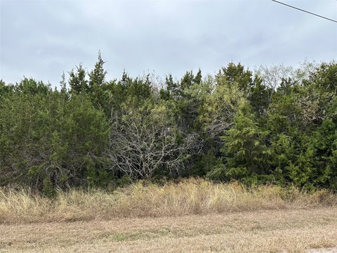 Residential Lot in Lake Community