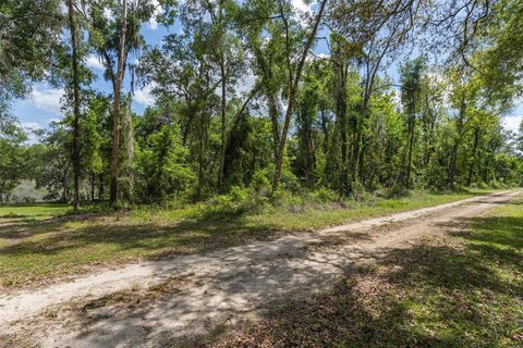 Land, WEBSTER, FL