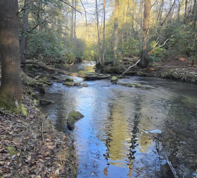 Land, Dayton, TN