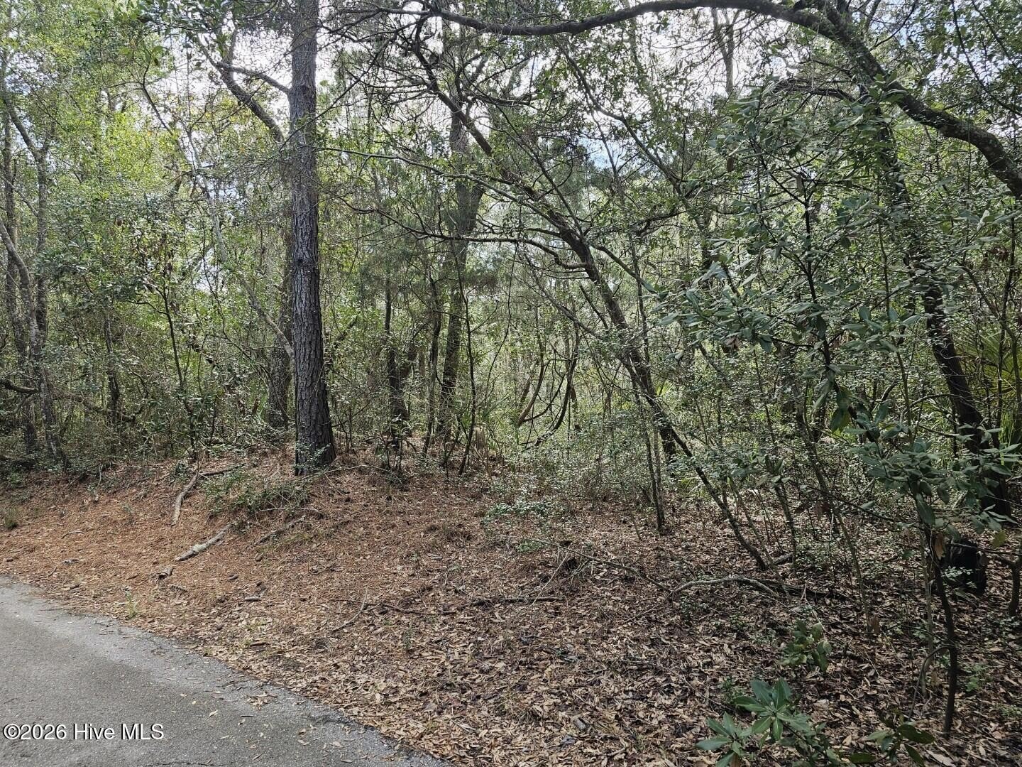 Bald Head Island Homesite