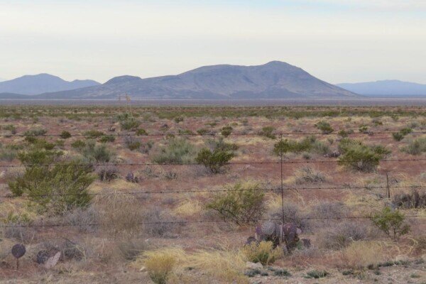 Picture 15